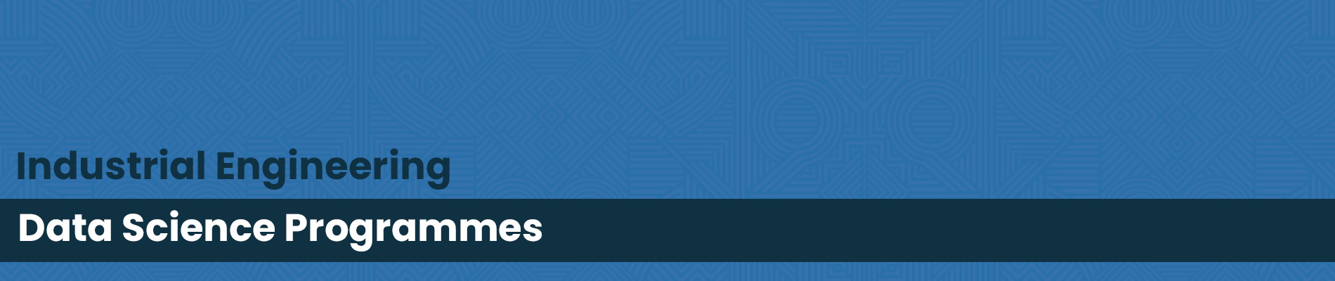 IE - Data Science Programmes